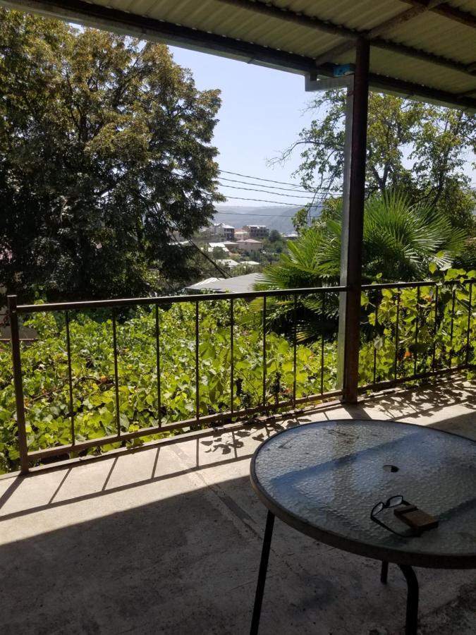Уиут Ниниа Сад Leilighet Tbilisi Eksteriør bilde